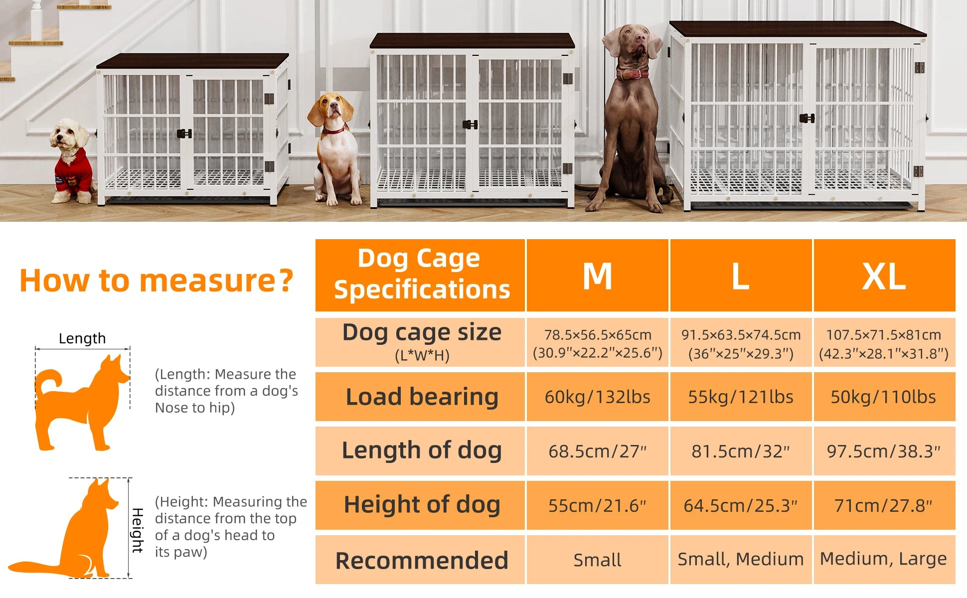 Dog crates with dogs inside, accompanied by a chart detailing dog cage specifications and measurements.