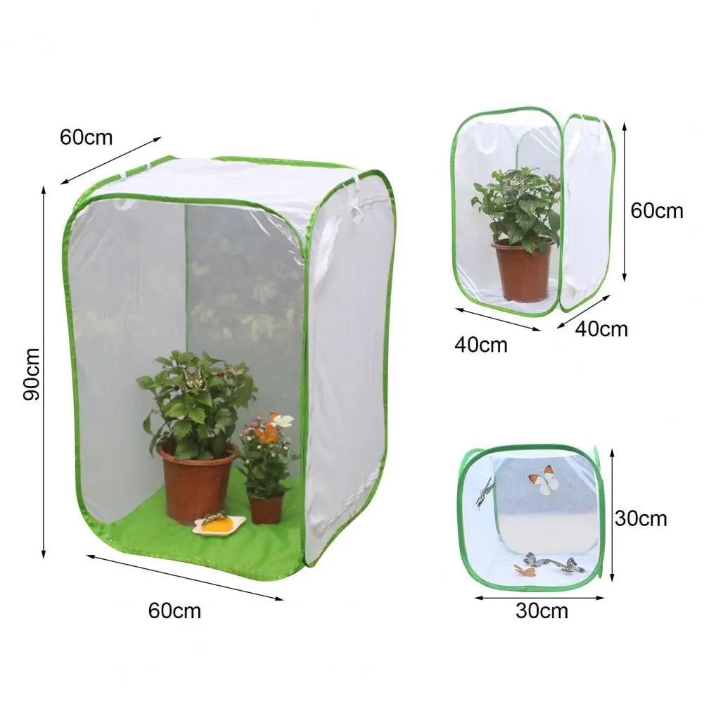 shield butterfly Net shielding your beloved plants from curious pets. - Sniff Waggle And Walk