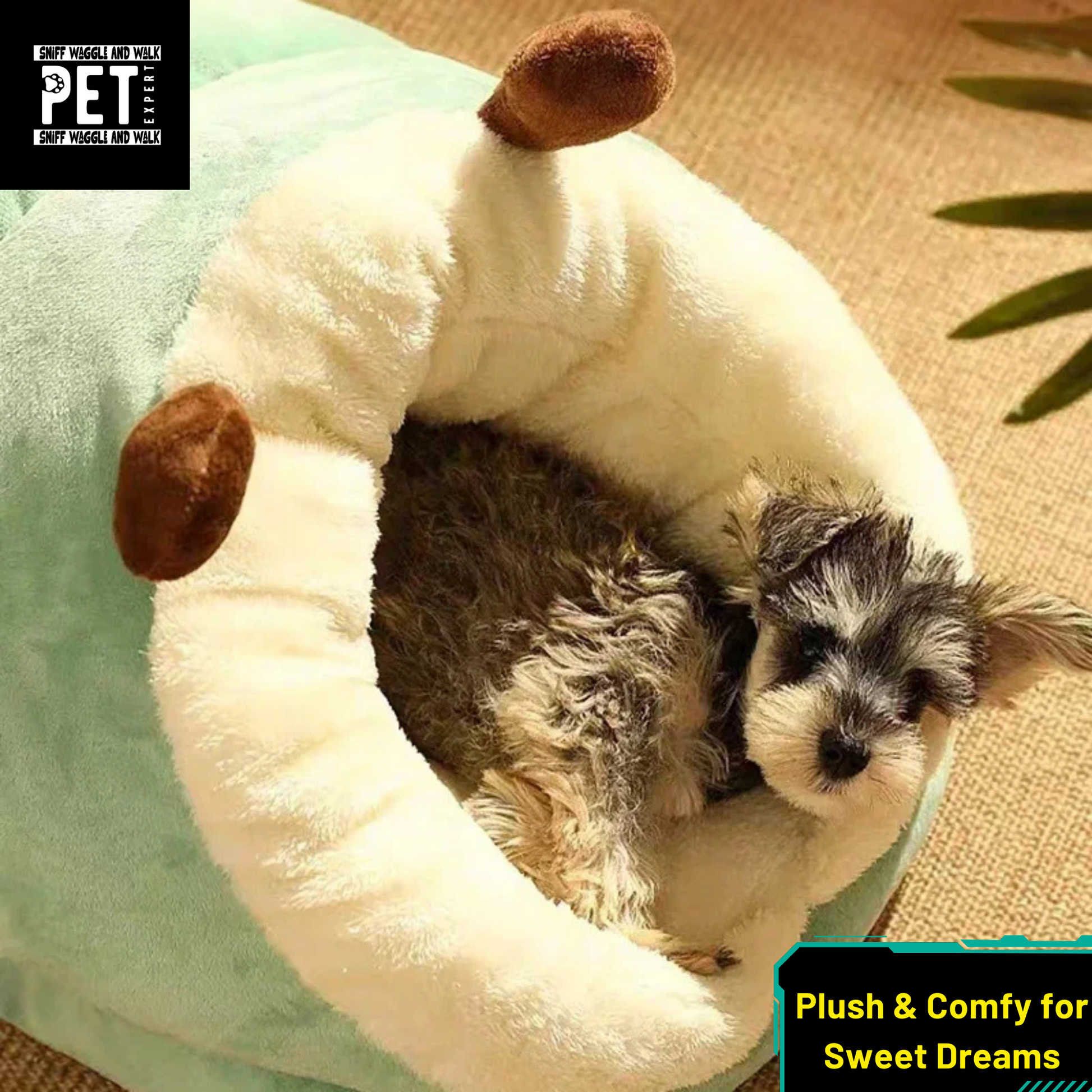 slipper dog be best quality