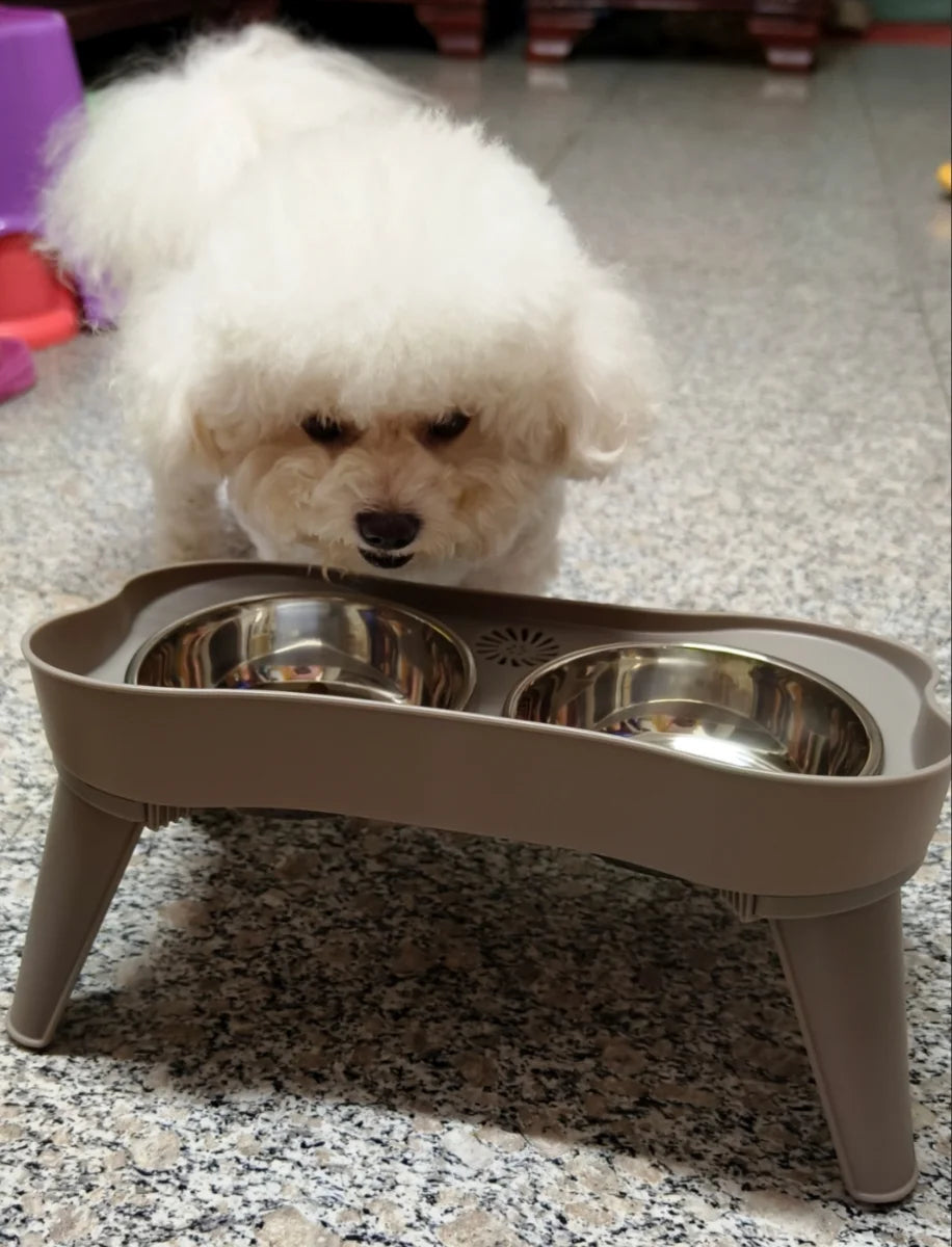 small pet bowl elevated feeder