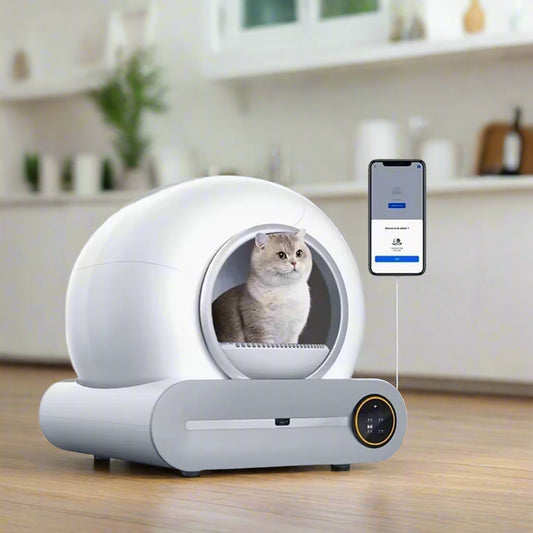 best litter box auto