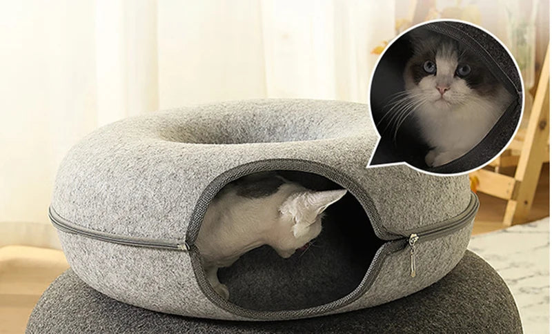 beds for cats quality