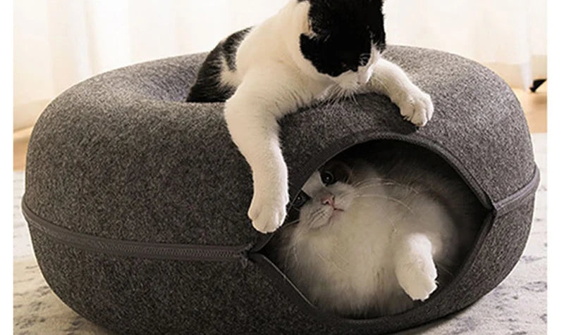 the best cat beds snuggle pods