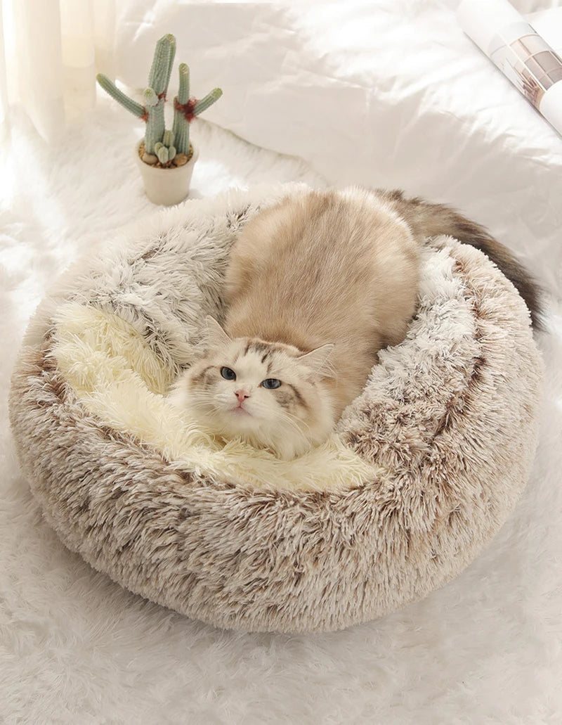 premium cat beds