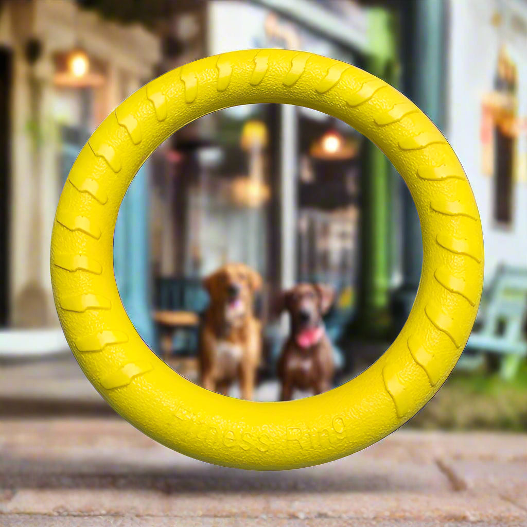 yellow dog toy strong Ring Puller Resistant Toy. - Sniff Waggle And Walk