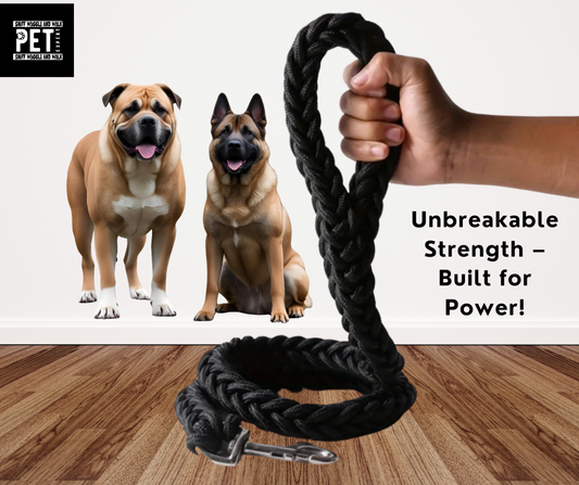 strong dog leash black