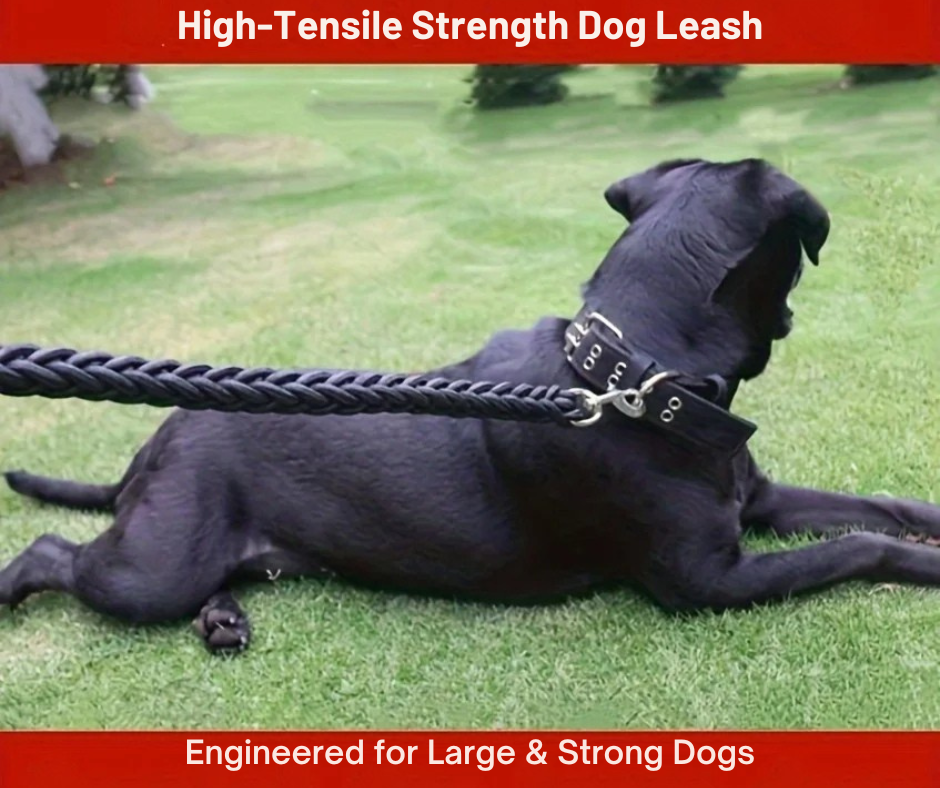 strong dog leash in action black