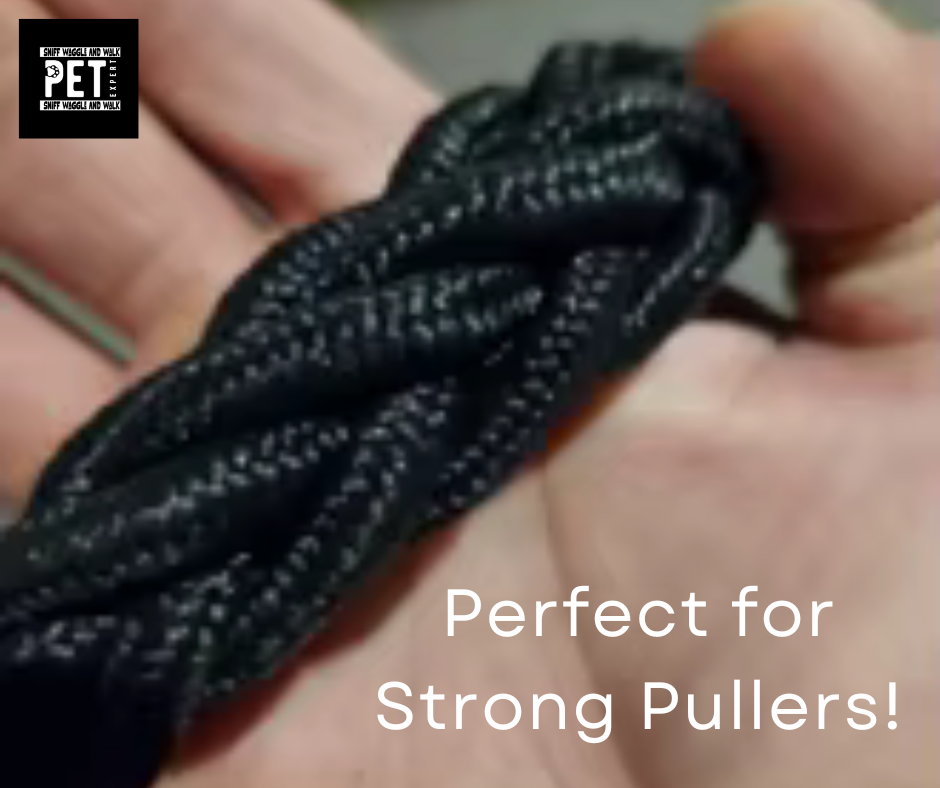 Ultra-Strong Heavy-Duty Dog Leash--Durable, No-Pull Training & Walking Lead for Large Dogs