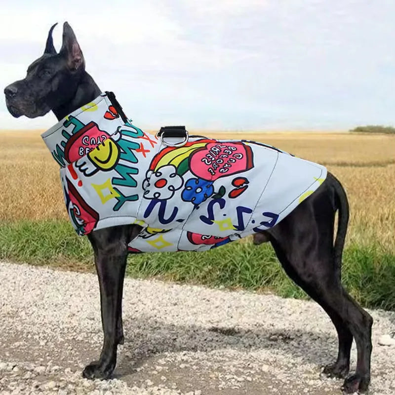 the best colourful dog coat jacket