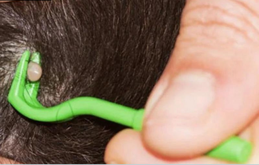 Tick and flea removers by - Sniff Waggle And Walk