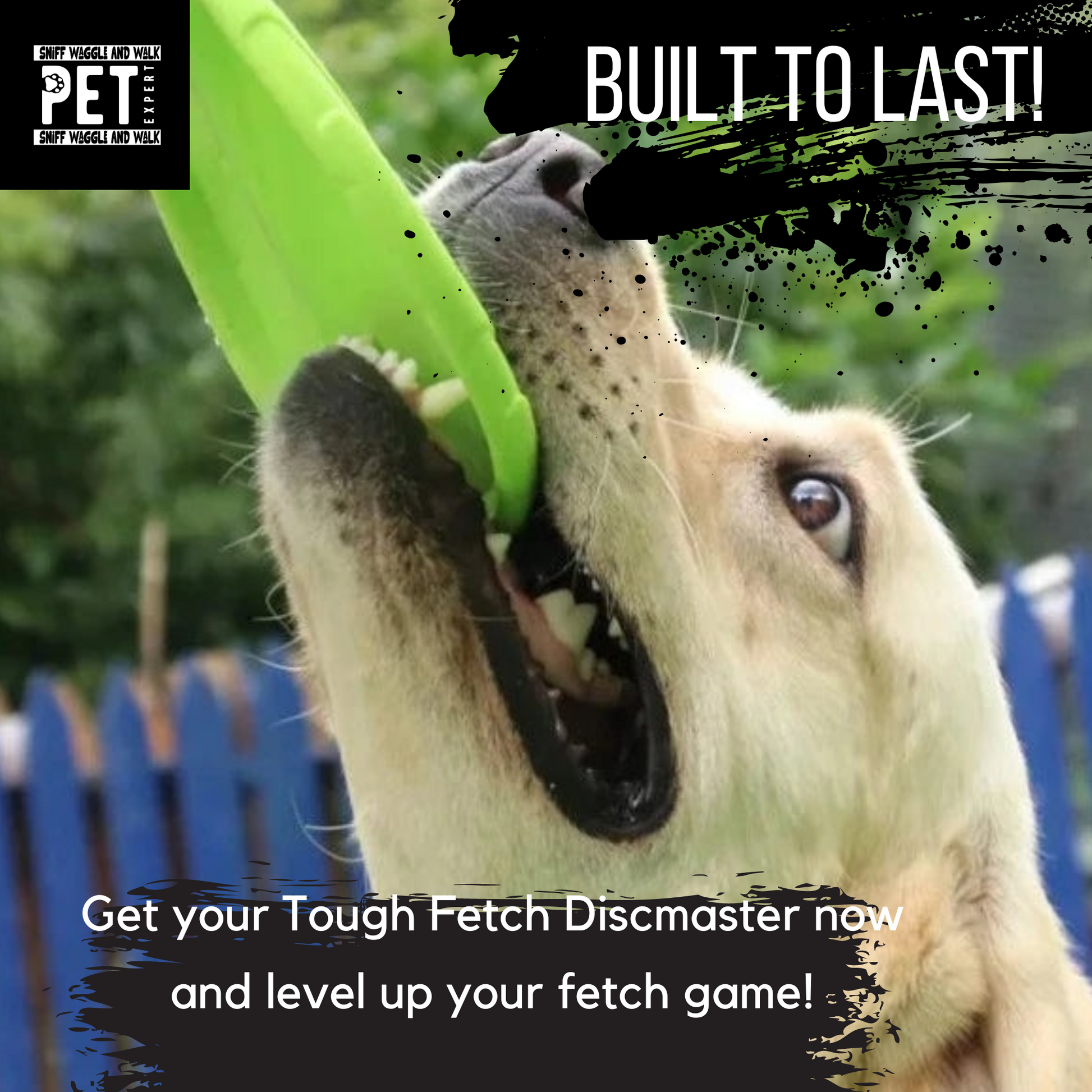 tough dog toy frisby