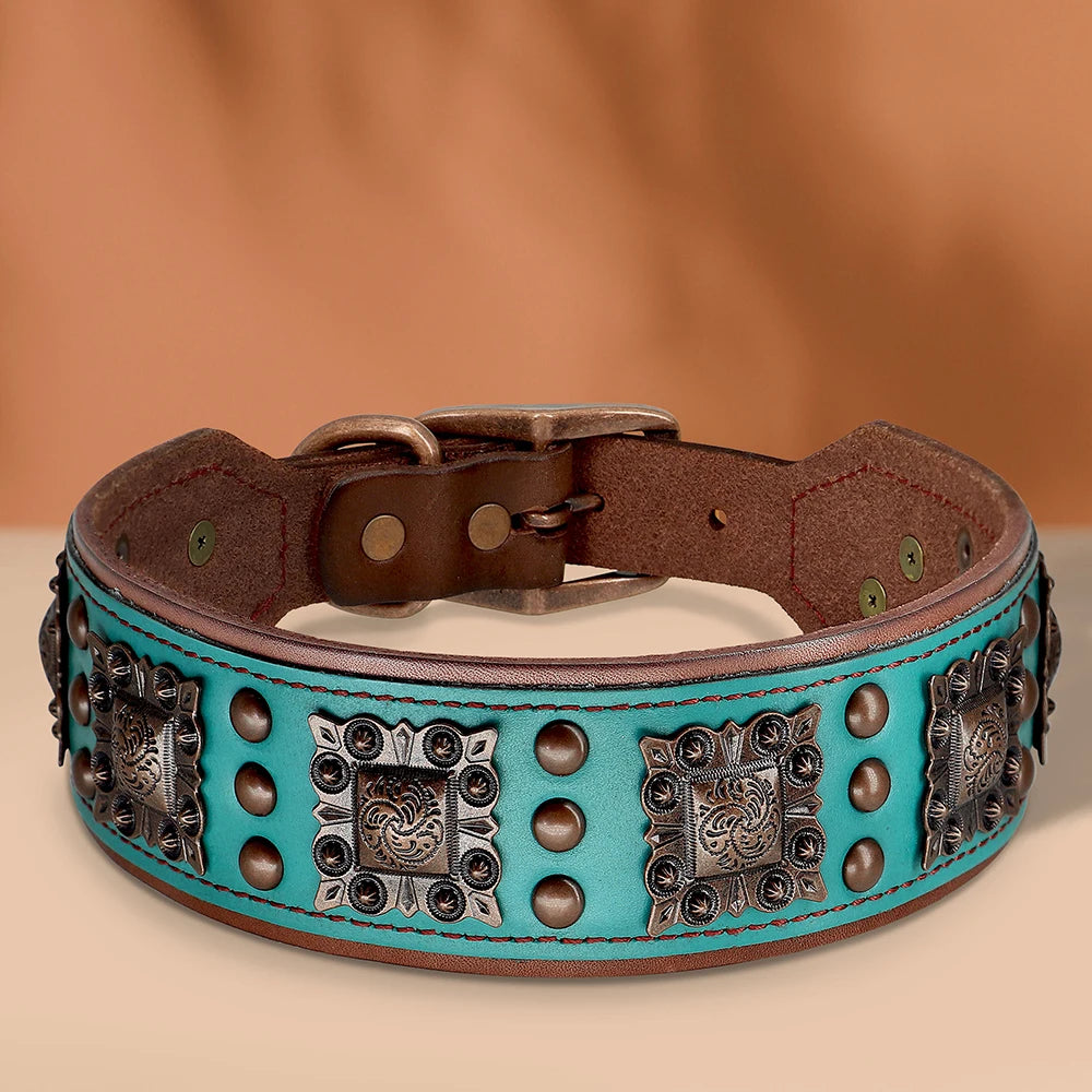 Turquoise leather dog collar with decorative studs and metal clasps on a beige background
