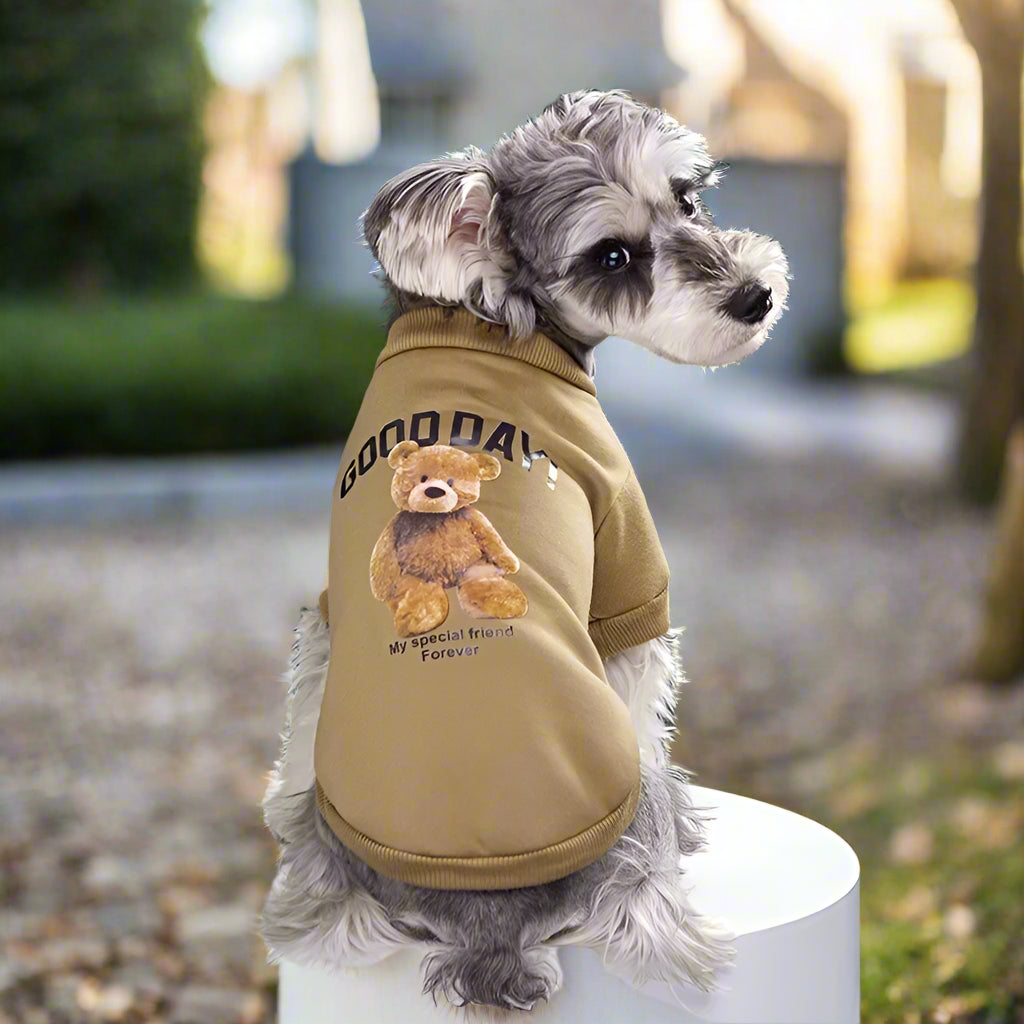 warm brown dog pullover Sniff Waggle And Walk