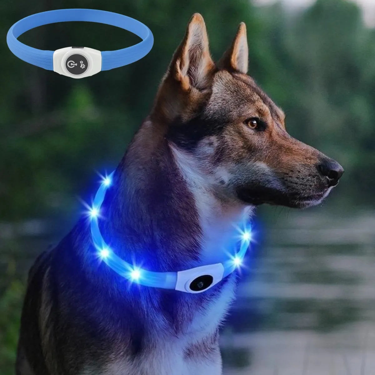 Sniffwagglendwalk Waterproof Led USB Luminous Dog Collar. - Sniff Waggle And Walk
