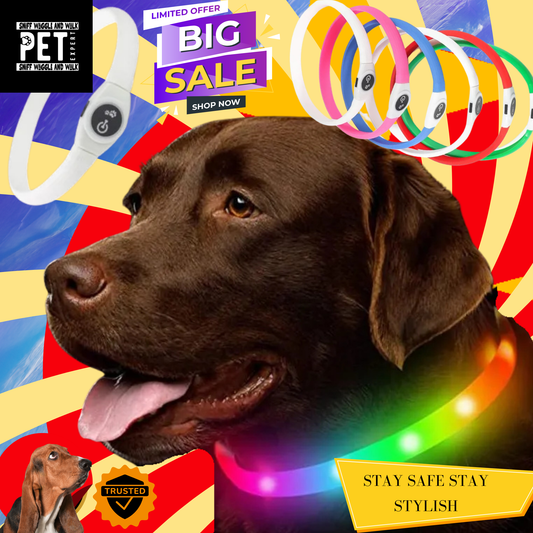 waterproof dog collor luminous colour changing recharge