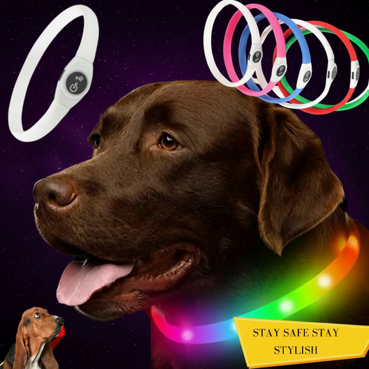 SniffWaggleNWalk GlowLoop™ silicone LED dog collar in red — full-circle glow visible against dark background