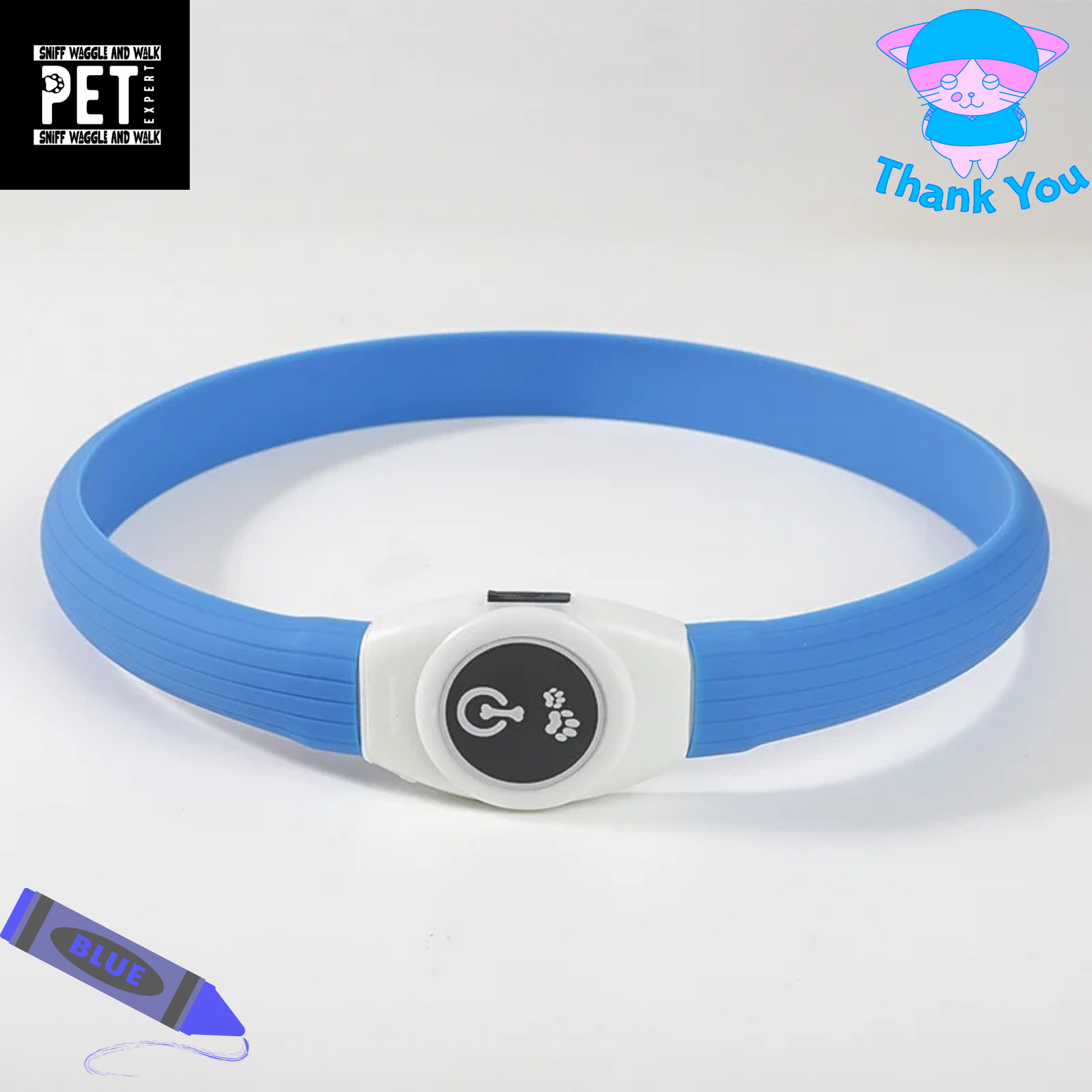 blue waterproof dog collor led rechargeable