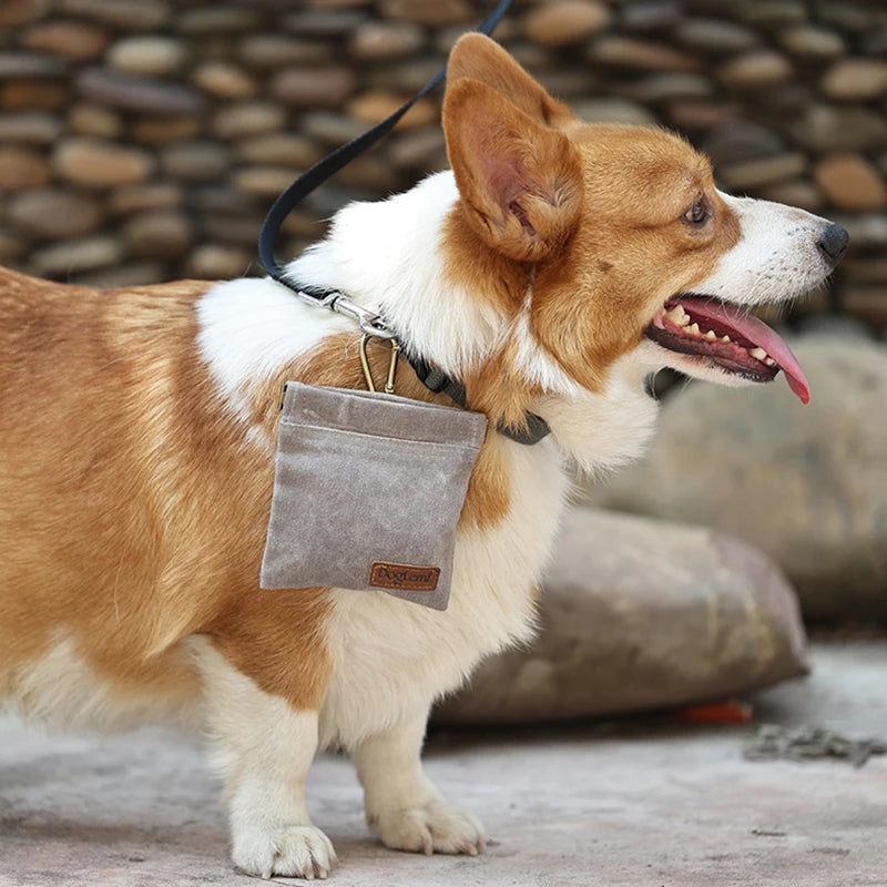 waterproof Dog Training Snack Bag. - Sniff Waggle And Walk