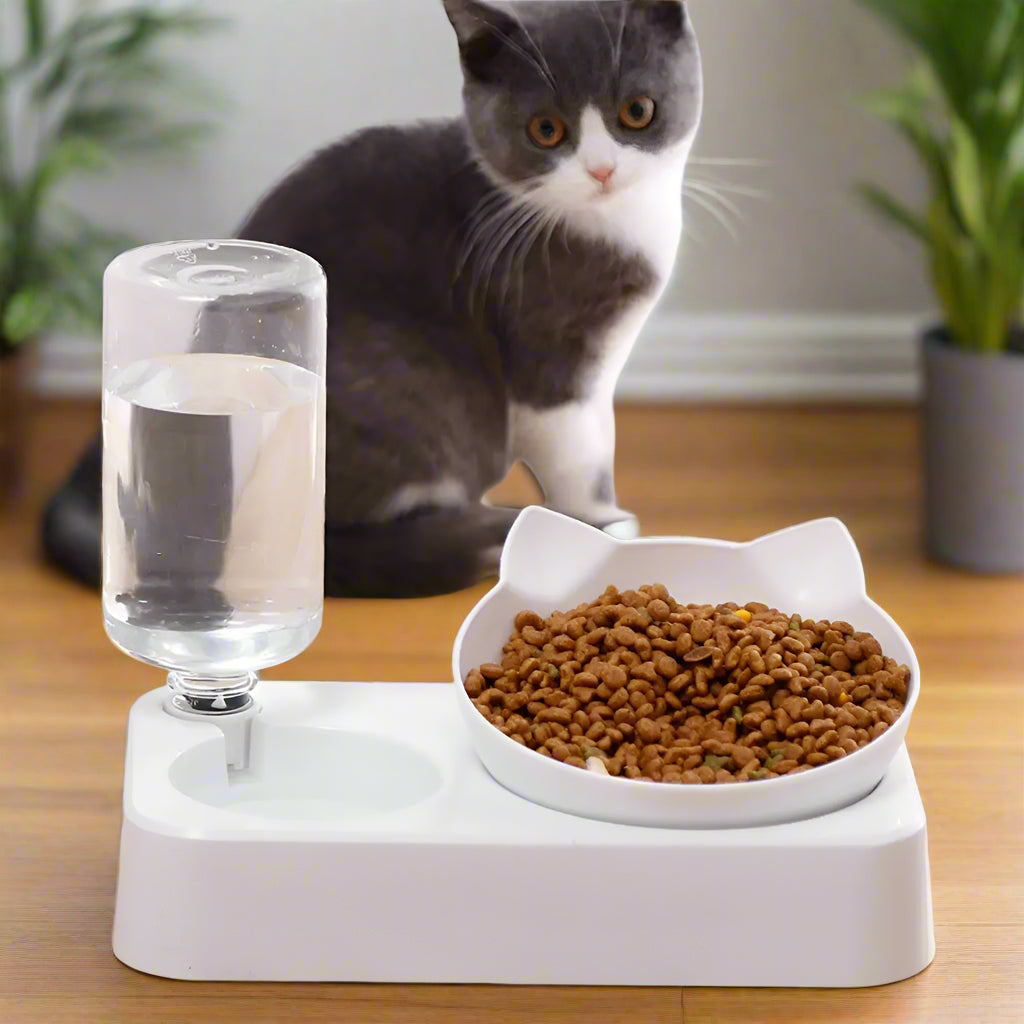 Cervical Vertebrae Dog Food Bowl Automatic Drinking Feeder. - Sniff Waggle And Walk white