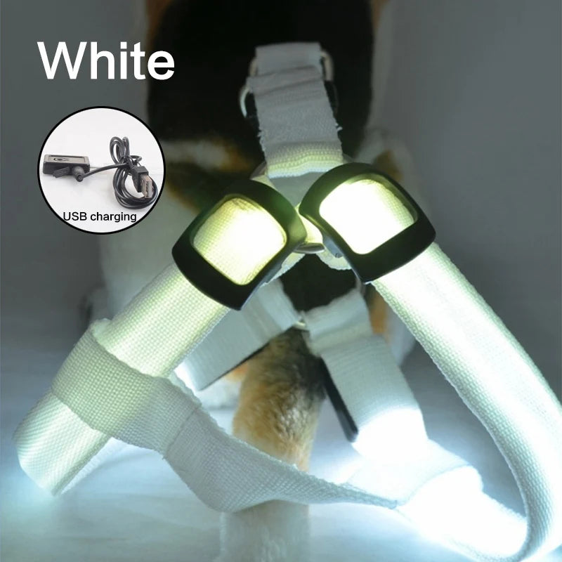 dog harness led Illuminate Harness by sniffwagglenwalk - Sniff Waggle And Walk