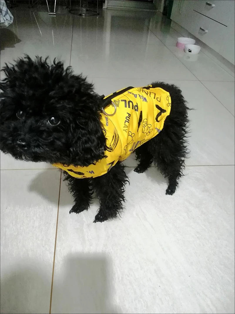 yellow dog coat the best