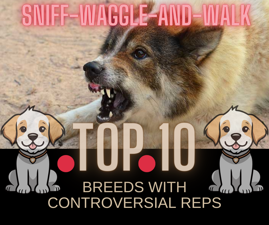 Unveiling the Top 10 Dog Breeds with Controversial Reputations