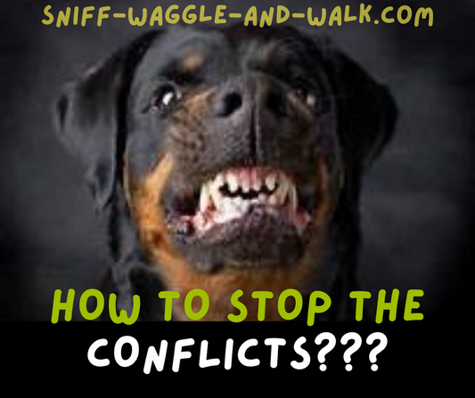 Your Ultimate Guide to Curbing Canine Conflicts!