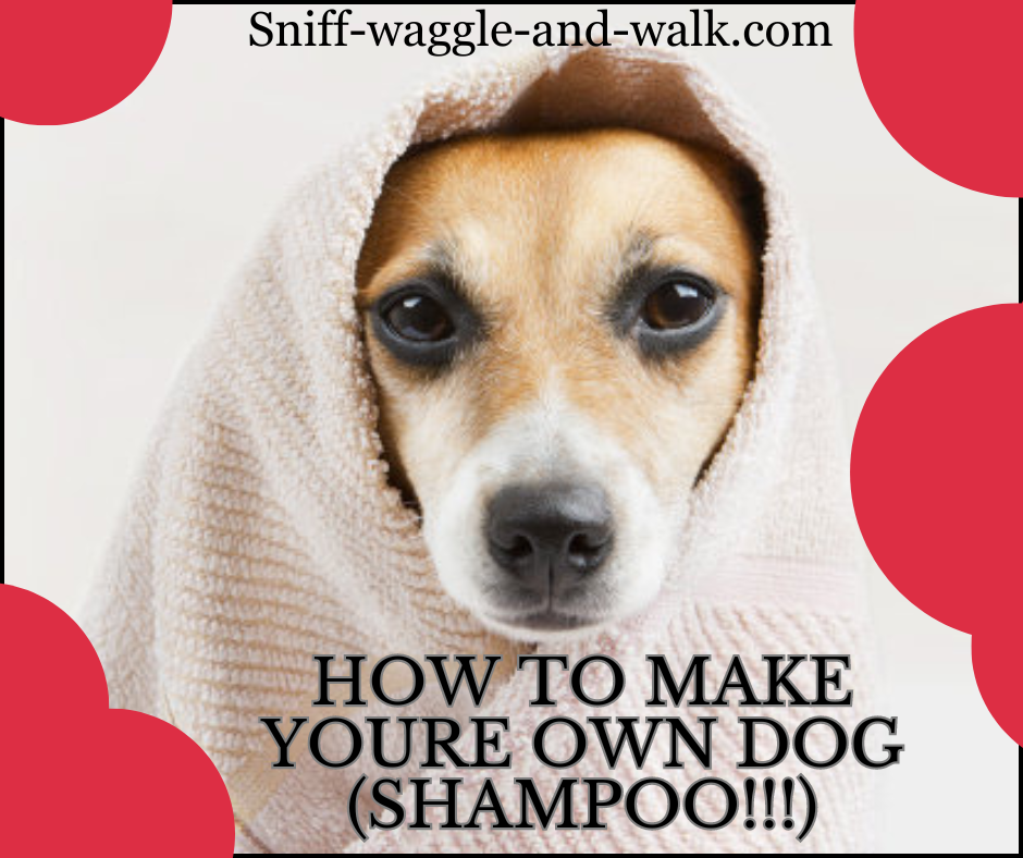 DIY Dog Shampoo Recipe Woof-tastic for Your Furry Friend!