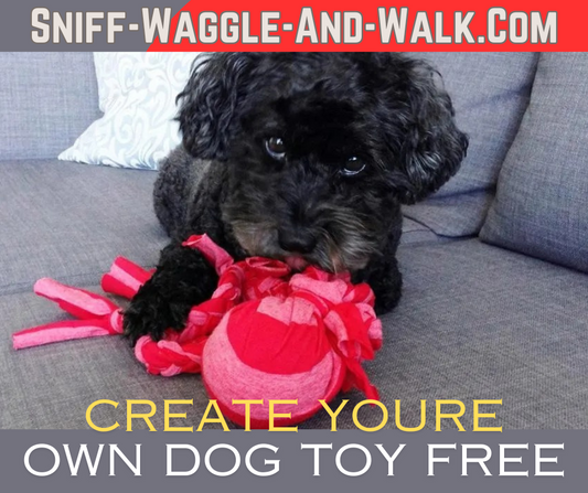 DIY Braided T-Shirt Dog Toy: A Tail-Wagging DIY Adventure!