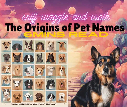 The Origins of Pet Names From Regal Rovers to Mischievous Mittens