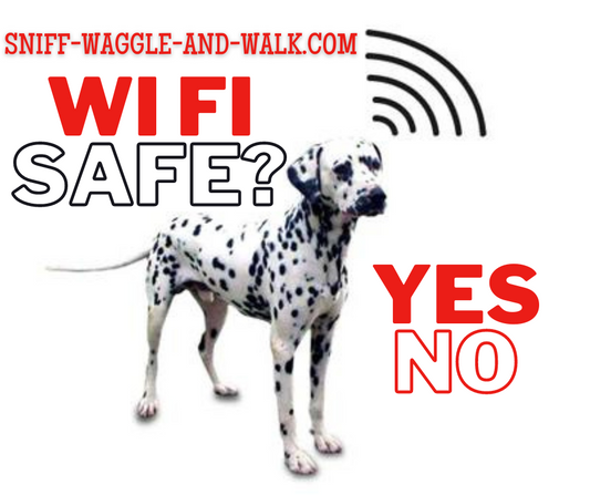 Wireless Whiskers: Separating Fact from Fiction in the WiFi-Pet Connection