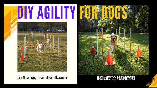 diy dog course ideas
