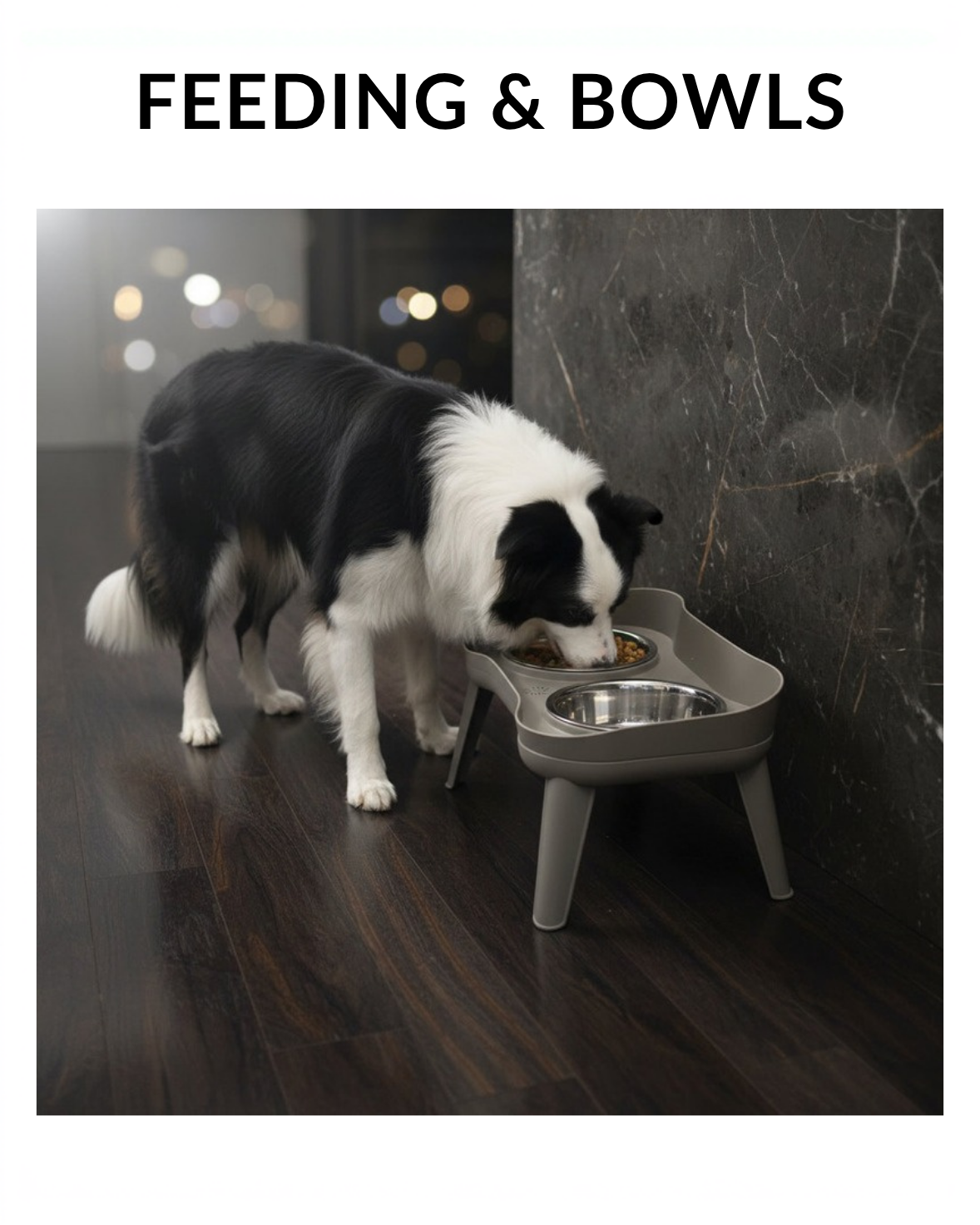 Dog eating from a raised twin-bowl pet feeder