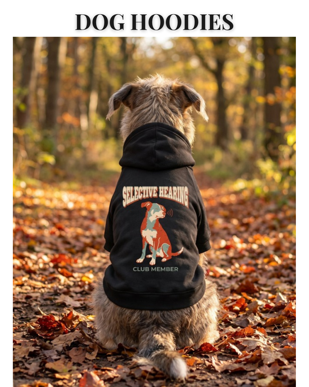 Dog Hoodies collection - dog sitting on an autumn path wearing a black dog hoodie