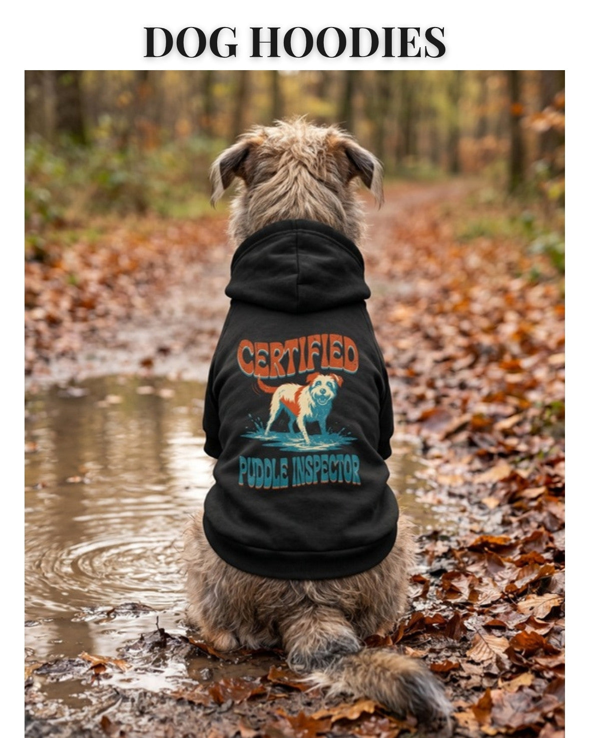 Dog sitting on an autumn path wearing a funny Certified Puddle Inspector dog hoodie, back view