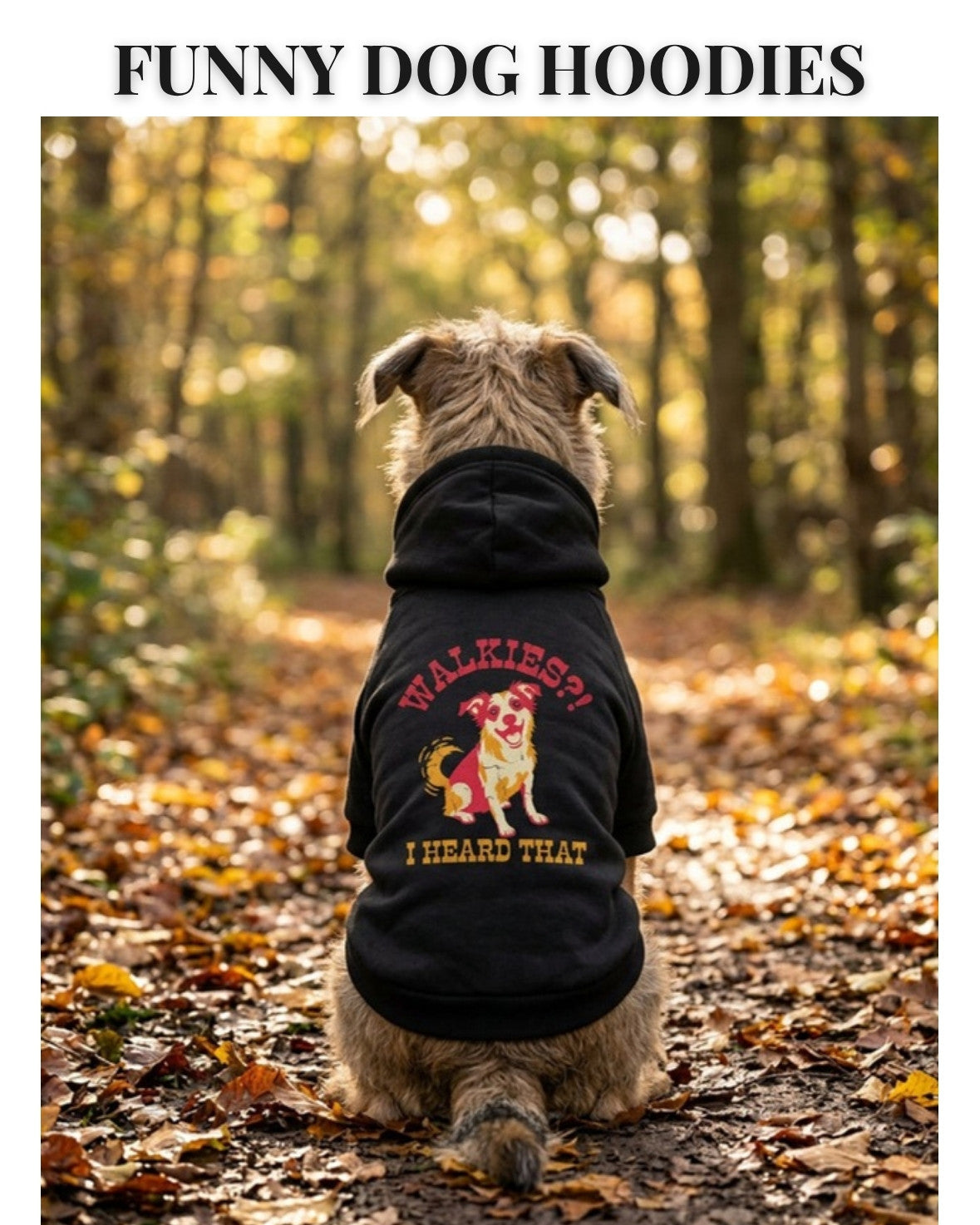 Dog wearing a funny Walkies I Heard That dog hoodie on an autumn woodland path