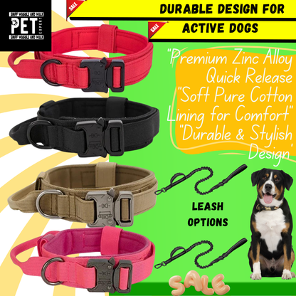 Heavy Duty Collars with leash option Sniffwaggleandwalk™