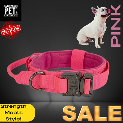 Heavy Duty Collars with leash option Sniffwaggleandwalk™