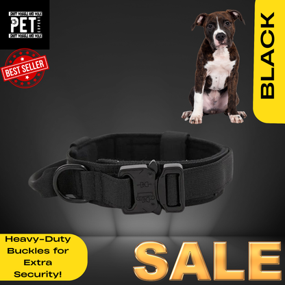 Heavy Duty Collars with leash option Sniffwaggleandwalk™