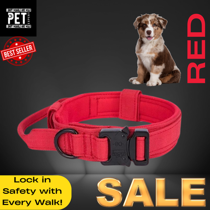 Heavy Duty Collars with leash option Sniffwaggleandwalk™