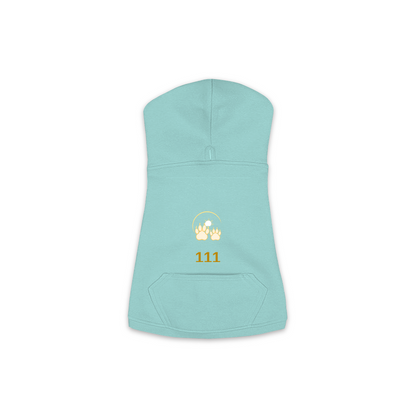 111 Angel Number dog hoodie in Saltwater — gold paw-print emblem and '111' print on Doggie Skins fleece pullover