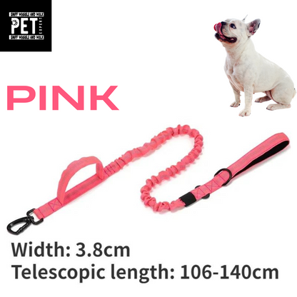 Heavy Duty Collars with leash option Sniffwaggleandwalk™