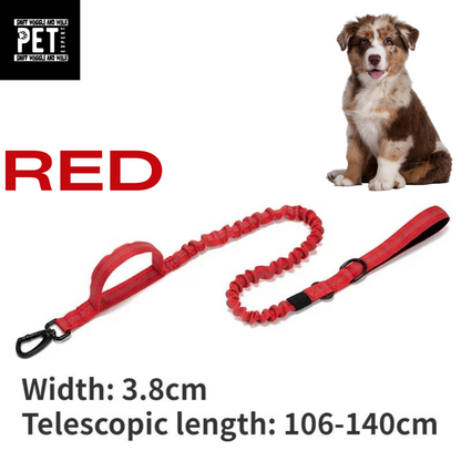 Heavy Duty Collars with leash option Sniffwaggleandwalk™