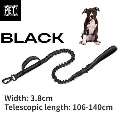 Heavy Duty Collars with leash option Sniffwaggleandwalk™