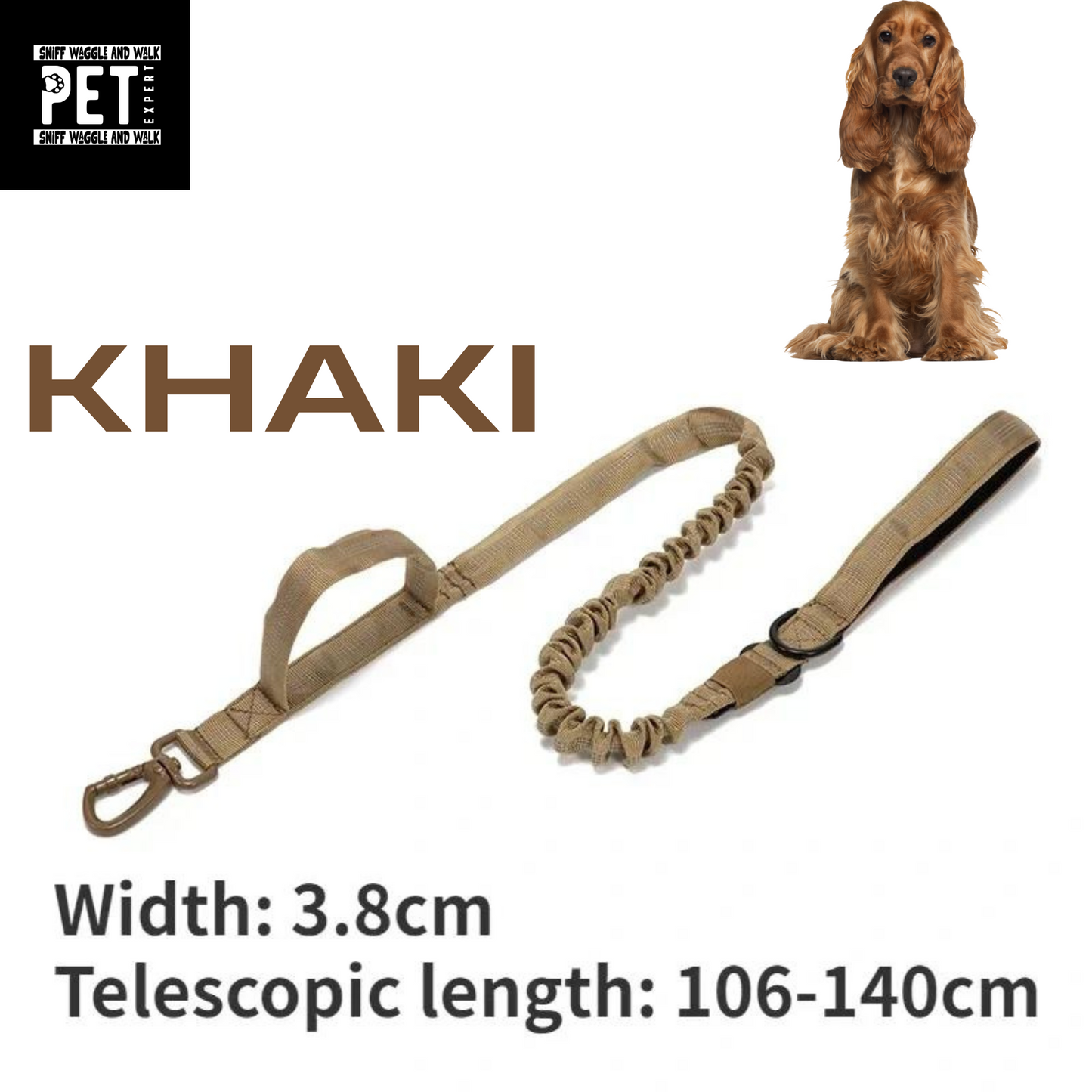 Heavy Duty Collars with leash option Sniffwaggleandwalk™