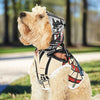 🎯Unique Dartboard Design Dog Hoodie🎯 – Exclusive & High-Quality! 🎯-Sniffwaggleandwalk™