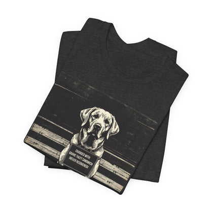 Labrador True Crime Night Shift t-shirt product photo, black