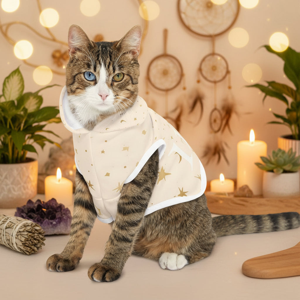 cat wearing of celestial hoodie showing star pattern and 11:11 print