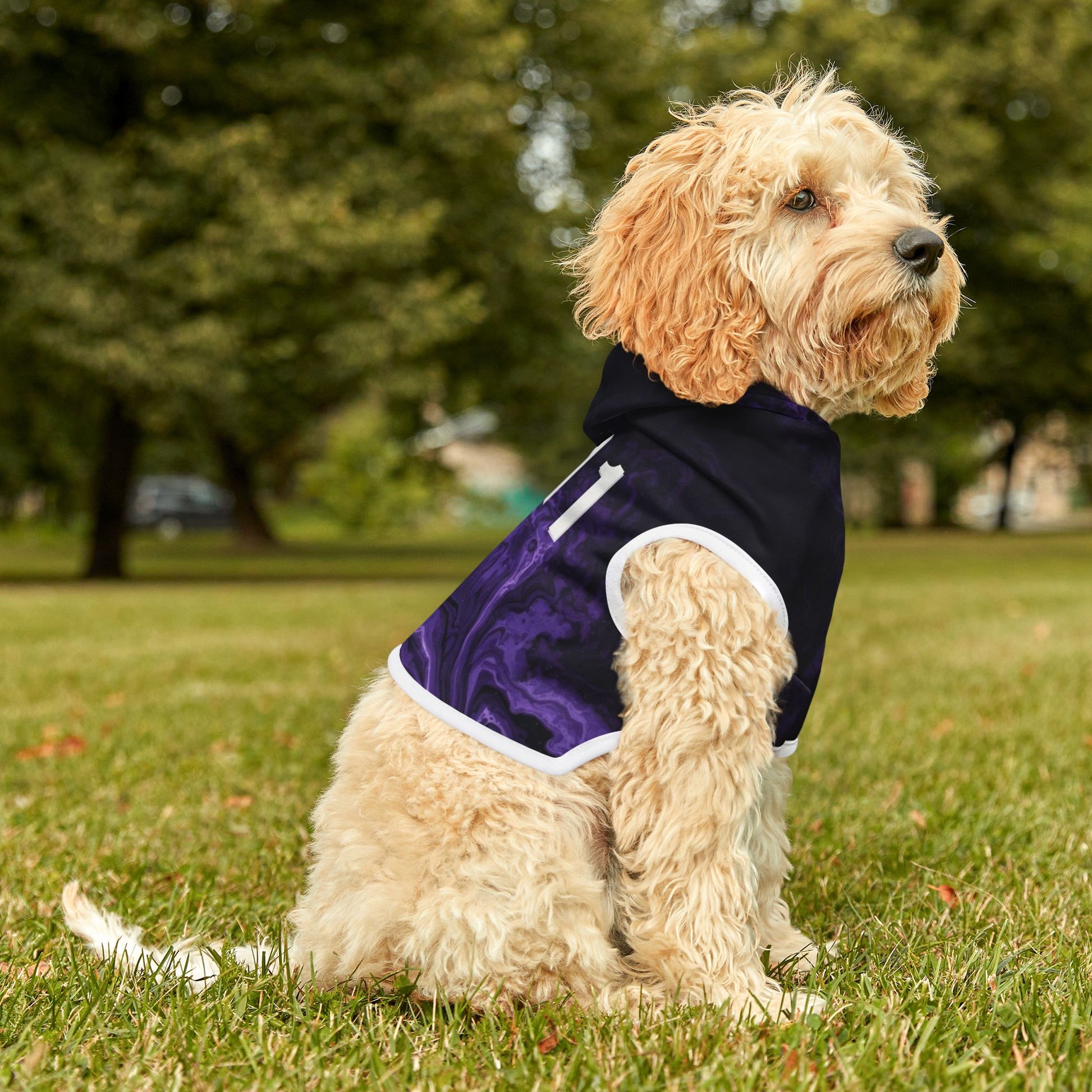Pet hoodie showing fit and sizing proportions