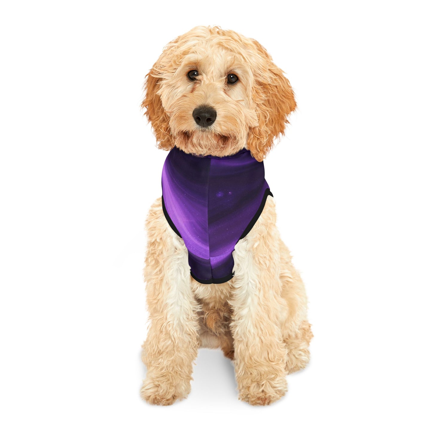 Back view of purple 11:11 angel number pet hoodie